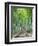 Japan, Kyoto, Arashiyama, Adashino Nembutsu-ji Temple, Bamboo Forest-Steve Vidler-Framed Photographic Print