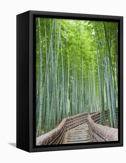 Japan, Kyoto, Arashiyama, Adashino Nembutsu-ji Temple, Bamboo Forest-Steve Vidler-Framed Stretched Canvas