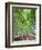 Japan, Kyoto, Arashiyama, Adashino Nembutsu-ji Temple, Bamboo Forest-Steve Vidler-Framed Photographic Print