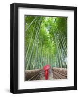 Japan, Kyoto, Arashiyama, Adashino Nembutsu-ji Temple, Bamboo Forest-Steve Vidler-Framed Photographic Print