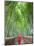 Japan, Kyoto, Arashiyama, Adashino Nembutsu-ji Temple, Bamboo Forest-Steve Vidler-Mounted Photographic Print