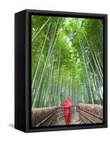 Japan, Kyoto, Arashiyama, Adashino Nembutsu-ji Temple, Bamboo Forest-Steve Vidler-Framed Stretched Canvas