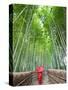 Japan, Kyoto, Arashiyama, Adashino Nembutsu-ji Temple, Bamboo Forest-Steve Vidler-Stretched Canvas