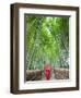 Japan, Kyoto, Arashiyama, Adashino Nembutsu-ji Temple, Bamboo Forest-Steve Vidler-Framed Premium Photographic Print