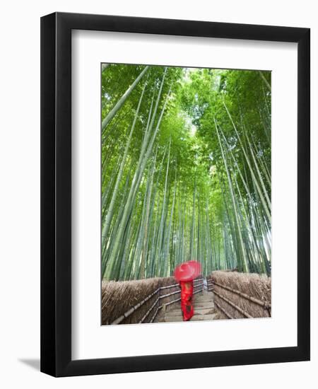 Japan, Kyoto, Arashiyama, Adashino Nembutsu-ji Temple, Bamboo Forest-Steve Vidler-Framed Premium Photographic Print