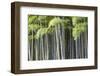 Japan, Kyoto, Arashiyama, Adashino Nenbutsu-Ji Temple-Jane Sweeney-Framed Photographic Print