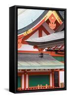 Japan, Kyoto, Fushimi Inari Shrine-Jane Sweeney-Framed Stretched Canvas