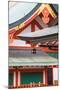 Japan, Kyoto, Fushimi Inari Shrine-Jane Sweeney-Mounted Photographic Print