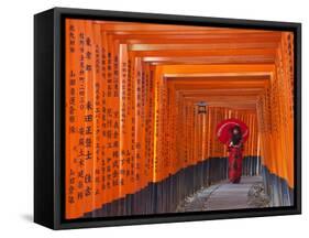 Japan, Kyoto, Fushimi Inari Taisha Shrine, Tunnel of Torii Gates-Steve Vidler-Framed Stretched Canvas