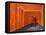 Japan, Kyoto, Fushimi Inari Taisha Shrine, Tunnel of Torii Gates-Steve Vidler-Framed Stretched Canvas