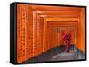 Japan, Kyoto, Fushimi Inari Taisha Shrine, Tunnel of Torii Gates-Steve Vidler-Framed Stretched Canvas