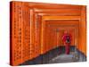 Japan, Kyoto, Fushimi Inari Taisha Shrine, Tunnel of Torii Gates-Steve Vidler-Stretched Canvas