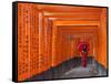 Japan, Kyoto, Fushimi Inari Taisha Shrine, Tunnel of Torii Gates-Steve Vidler-Framed Stretched Canvas