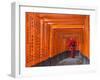 Japan, Kyoto, Fushimi Inari Taisha Shrine, Tunnel of Torii Gates-Steve Vidler-Framed Photographic Print