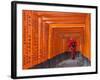 Japan, Kyoto, Fushimi Inari Taisha Shrine, Tunnel of Torii Gates-Steve Vidler-Framed Photographic Print