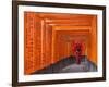 Japan, Kyoto, Fushimi Inari Taisha Shrine, Tunnel of Torii Gates-Steve Vidler-Framed Photographic Print