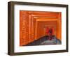 Japan, Kyoto, Fushimi Inari Taisha Shrine, Tunnel of Torii Gates-Steve Vidler-Framed Photographic Print