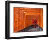 Japan, Kyoto, Fushimi Inari Taisha Shrine, Tunnel of Torii Gates-Steve Vidler-Framed Photographic Print