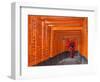 Japan, Kyoto, Fushimi Inari Taisha Shrine, Tunnel of Torii Gates-Steve Vidler-Framed Photographic Print