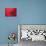 Japan, Kyoto, Higashiyama, Japanese Red Umbrella-Steve Vidler-Photographic Print displayed on a wall