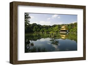 Japan Kyoto Kinkaku-Ji (Golden Pavilion Temple)-Nosnibor137-Framed Photographic Print