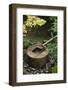 Japan Kyoto Ryoan-Ji Temple Stone Water Basin-Nosnibor137-Framed Photographic Print