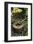 Japan Kyoto Ryoan-Ji Temple Stone Water Basin-Nosnibor137-Framed Photographic Print