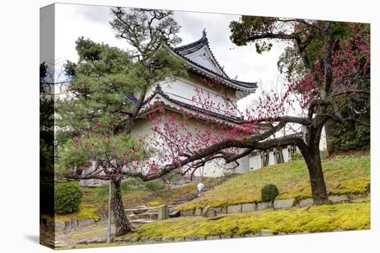 Japan, Kyoto. Scenic of Nijo Castle-Jaynes Gallery-Stretched Canvas