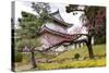 Japan, Kyoto. Scenic of Nijo Castle-Jaynes Gallery-Stretched Canvas