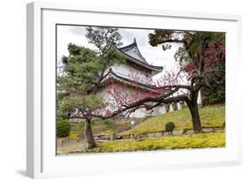 Japan, Kyoto. Scenic of Nijo Castle-Jaynes Gallery-Framed Photographic Print