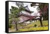 Japan, Kyoto. Scenic of Nijo Castle-Jaynes Gallery-Framed Stretched Canvas