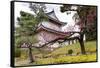 Japan, Kyoto. Scenic of Nijo Castle-Jaynes Gallery-Framed Stretched Canvas