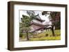 Japan, Kyoto. Scenic of Nijo Castle-Jaynes Gallery-Framed Photographic Print