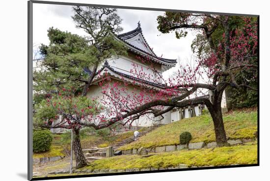 Japan, Kyoto. Scenic of Nijo Castle-Jaynes Gallery-Mounted Photographic Print