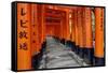 Japan, Kyoto. Torii Gates in the Fushimi-Inari-Taisha Shinto Shrine.-Dennis Flaherty-Framed Stretched Canvas