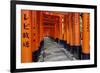 Japan, Kyoto. Torii Gates in the Fushimi-Inari-Taisha Shinto Shrine.-Dennis Flaherty-Framed Photographic Print
