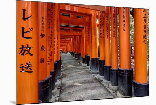 Japan, Kyoto. Torii Gates in the Fushimi-Inari-Taisha Shinto Shrine.-Dennis Flaherty-Mounted Photographic Print