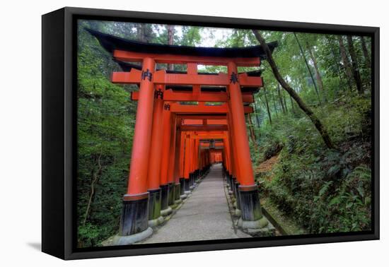 Japan, Kyoto. Torii Gates in the Fushimi-Inari-Taisha Shinto Shrine.-Dennis Flaherty-Framed Stretched Canvas