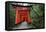 Japan, Kyoto. Torii Gates in the Fushimi-Inari-Taisha Shinto Shrine.-Dennis Flaherty-Framed Stretched Canvas