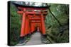 Japan, Kyoto. Torii Gates in the Fushimi-Inari-Taisha Shinto Shrine.-Dennis Flaherty-Stretched Canvas