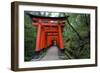 Japan, Kyoto. Torii Gates in the Fushimi-Inari-Taisha Shinto Shrine.-Dennis Flaherty-Framed Photographic Print