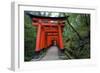 Japan, Kyoto. Torii Gates in the Fushimi-Inari-Taisha Shinto Shrine.-Dennis Flaherty-Framed Photographic Print