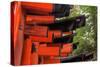 Japan, Kyoto. Torii Gates in the Fushimi-Inari-Taisha Shinto Shrine.-Dennis Flaherty-Stretched Canvas