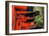 Japan, Kyoto. Torii Gates in the Fushimi-Inari-Taisha Shinto Shrine.-Dennis Flaherty-Framed Photographic Print