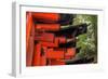 Japan, Kyoto. Torii Gates in the Fushimi-Inari-Taisha Shinto Shrine.-Dennis Flaherty-Framed Photographic Print