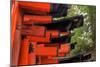 Japan, Kyoto. Torii Gates in the Fushimi-Inari-Taisha Shinto Shrine.-Dennis Flaherty-Mounted Photographic Print