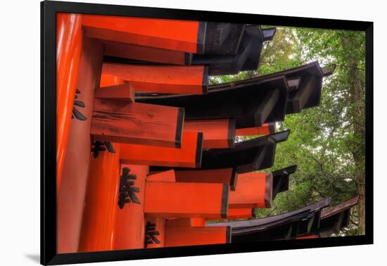 Japan, Kyoto. Torii Gates in the Fushimi-Inari-Taisha Shinto Shrine.-Dennis Flaherty-Framed Photographic Print