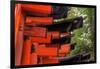 Japan, Kyoto. Torii Gates in the Fushimi-Inari-Taisha Shinto Shrine.-Dennis Flaherty-Framed Photographic Print