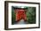 Japan, Kyoto. Torii Gates in the Fushimi-Inari-Taisha Shinto Shrine.-Dennis Flaherty-Framed Photographic Print