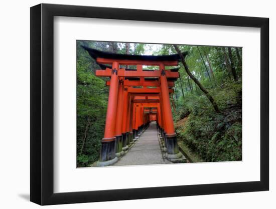 Japan, Kyoto. Torii Gates in the Fushimi-Inari-Taisha Shinto Shrine.-Dennis Flaherty-Framed Photographic Print